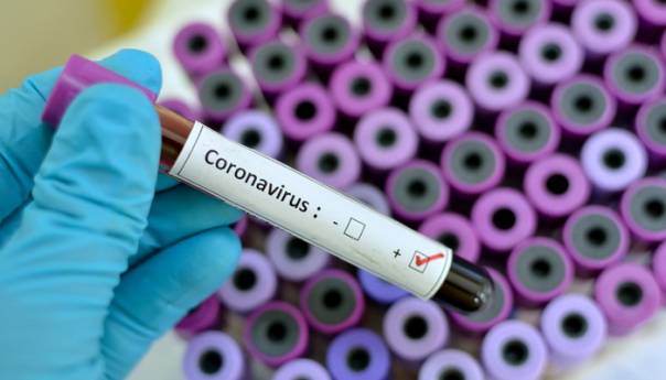 Pronađeni novi dokazi da novi koronavirus potiče od slijepih miševa