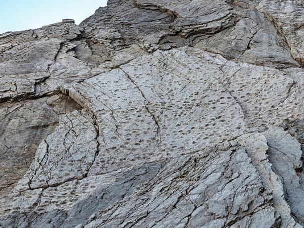 Pronađeno hiljade otisaka dinosaurusa na sjeveru Italije