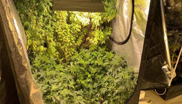 Pronađeno oružje i laboratorija za proizvodnju droge, uhapšene dvije osobe