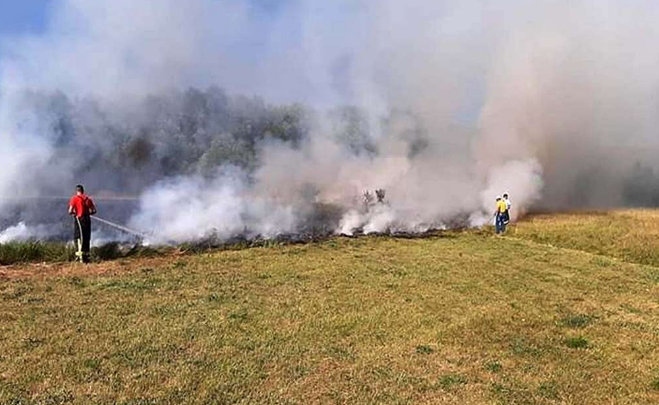 Proširili se požari u Konjicu i Neumu, potrebna pomoć iz zraka