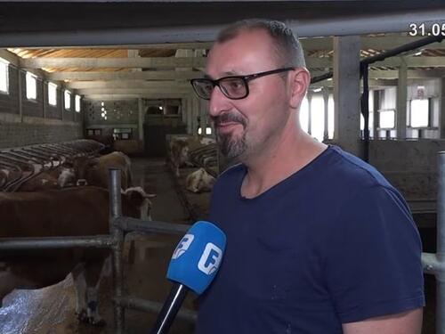 Prva moderna farma u BiH: Stočar uveo robote i dušeke za odmor krava