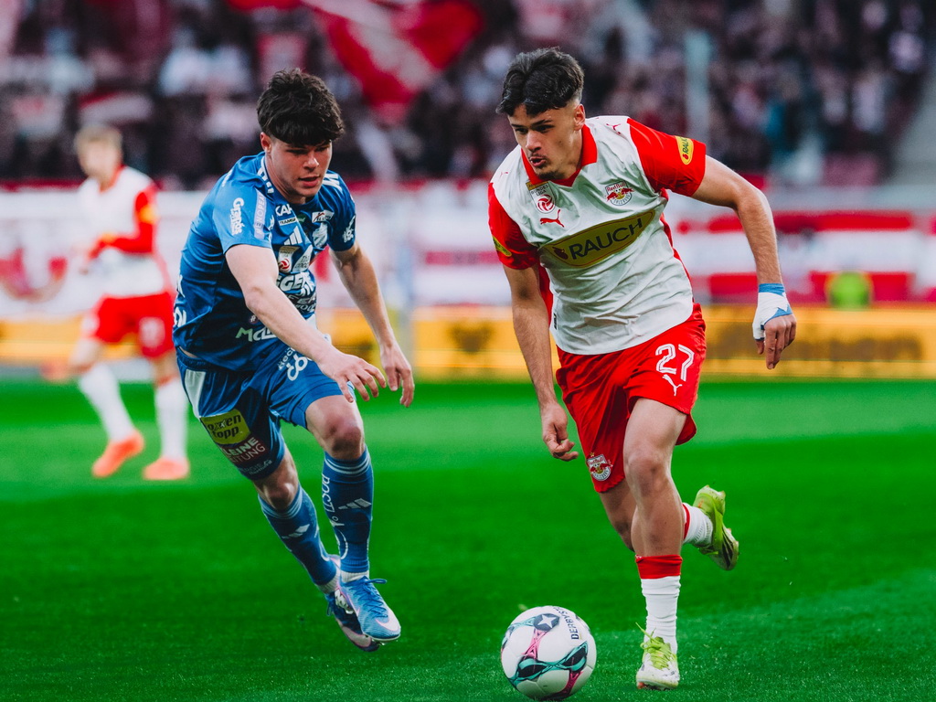 Prvak Evrope želi Kerima Alajbegovića