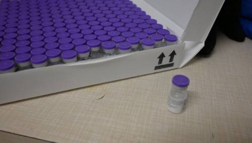 Prve vakcine protiv korone stižu u BiH polovinom februara