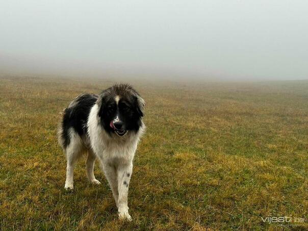 Prvi dan 2024. u BiH se očekuje pretežno oblačno vrijeme s kišom