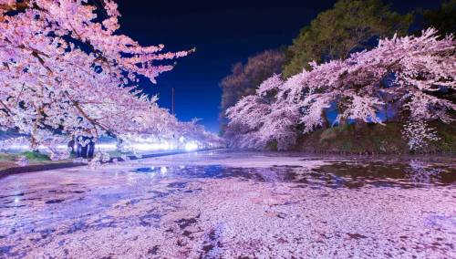 Prvi glasnik proljeća stigao ranije nego ikad