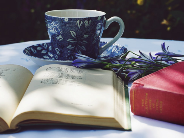 Prvi internacionalni festival ljubavne poezije 'Mostovi ljubavi' 13. juna