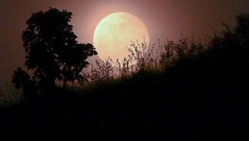 Prvo ovogodišnje pomračenje Mjeseca vidljivo u Aziji i Australiji