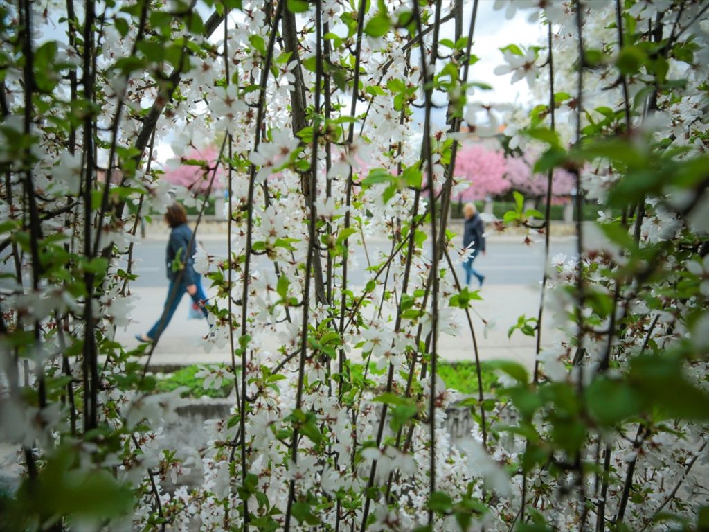 Prvomajska prognoza: Minus ujutro, do 20 stepeni popodne