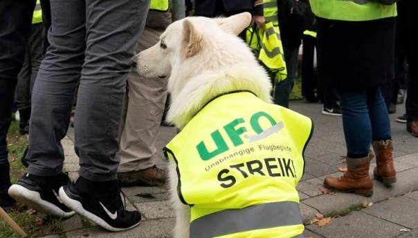 Psi brzo i pouzdano otkrivaju covid-19 i u asimptomatskim slučajevima