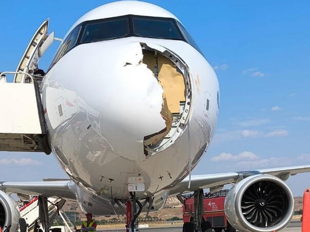Ptica uletjela u motor i izazvala veliku štetu na avionu Iberije u Madridu