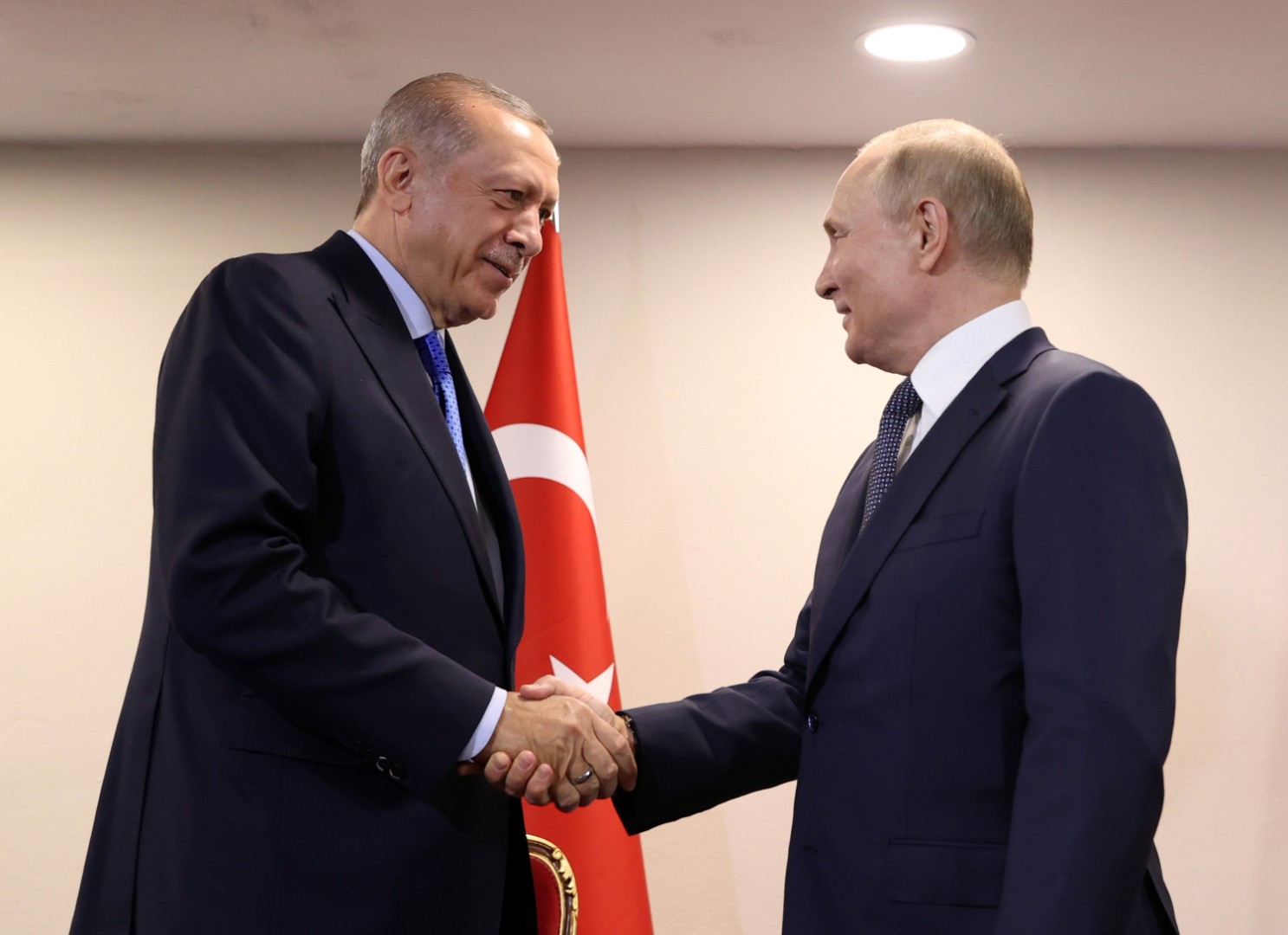 Putin se danas sastaje sa Erdoganom