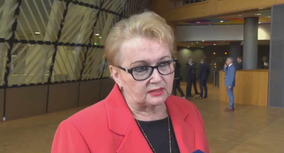 Radman iznio Izborni zakon kao uslov za kandidatski status BiH