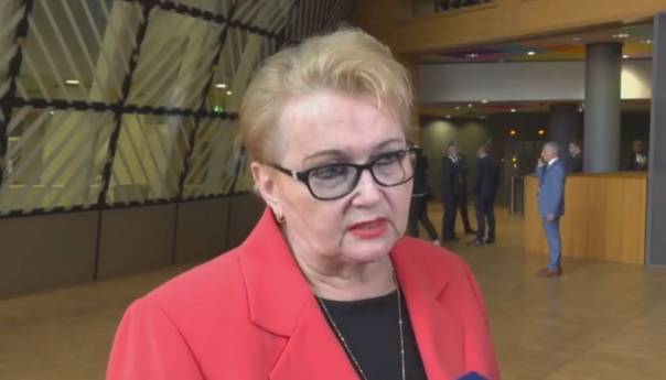 Radman iznio Izborni zakon kao uslov za kandidatski status BiH