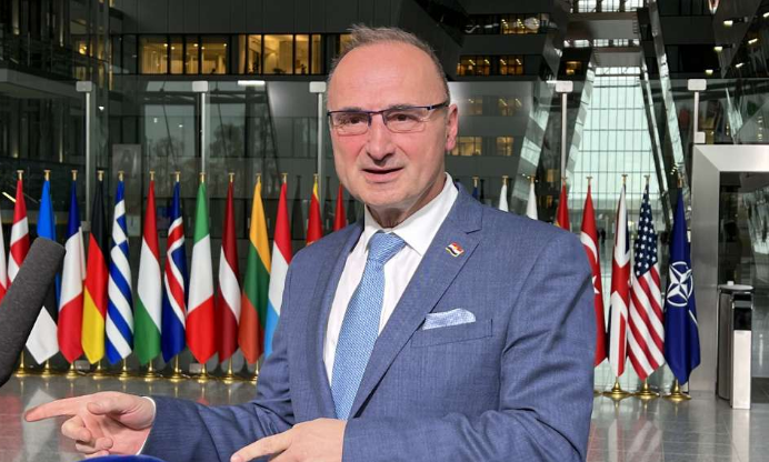 Radman: Još jednom pokušati promijeniti Izborni zakon u BiH