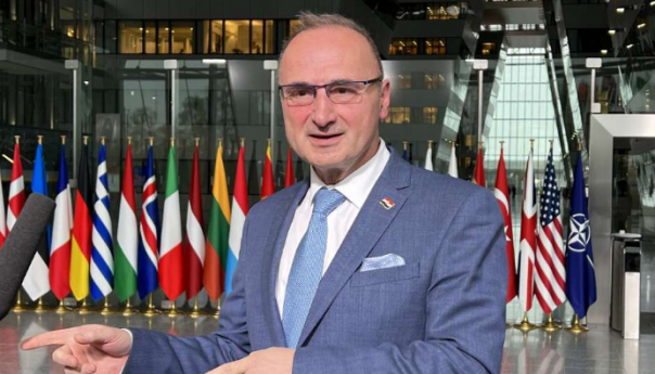 Radman: Još jednom pokušati promijeniti Izborni zakon u BiH