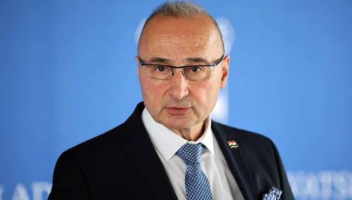Radman poručuje da Bundestag nije legitiman u Njemačkoj