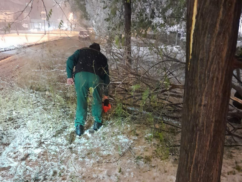 Radnici Parka na terenu: Uklanjaju drveće, uputili i apel građanima