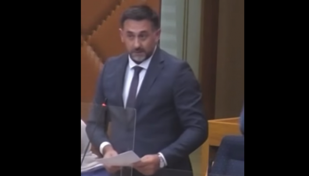 Ramić u NSRS: Srpski član u Predsjedništvu BiH ne postoji