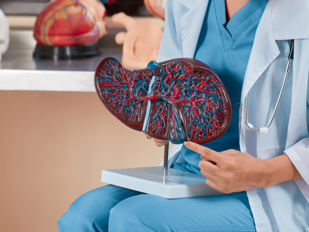 Rani simptomi bolesti jetre koje većina ljudi ignoriše