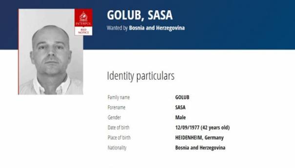 Raspisana crvena Interpolova potjernica za Sašom Golubom