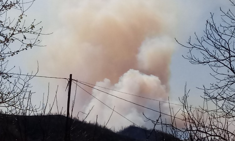 Rasplamsao se požar na Husinu kod Tuzle