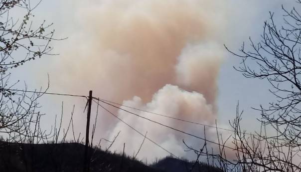 Rasplamsao se požar na Husinu kod Tuzle