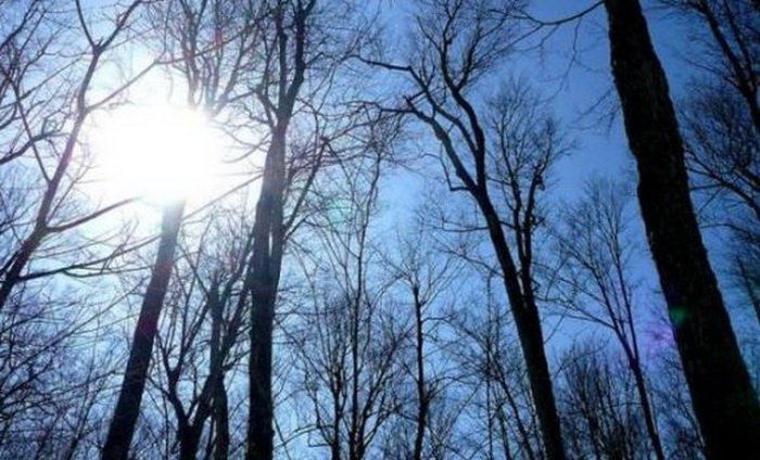 Rast temperatura u narednim danima
