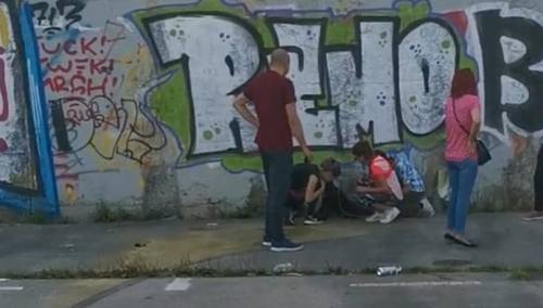 Razjareni pitbul napao dijete na Koševskom Brdu