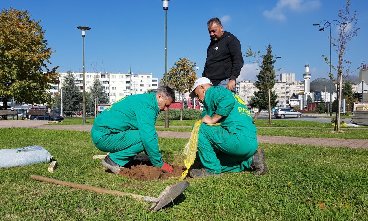Regionalna akcija sađenja drveća 'Drvo prijateljstva' i u Sarajevu