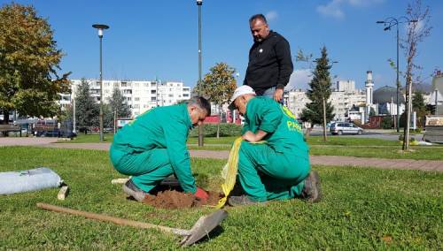 Regionalna akcija sađenja drveća 'Drvo prijateljstva' i u Sarajevu