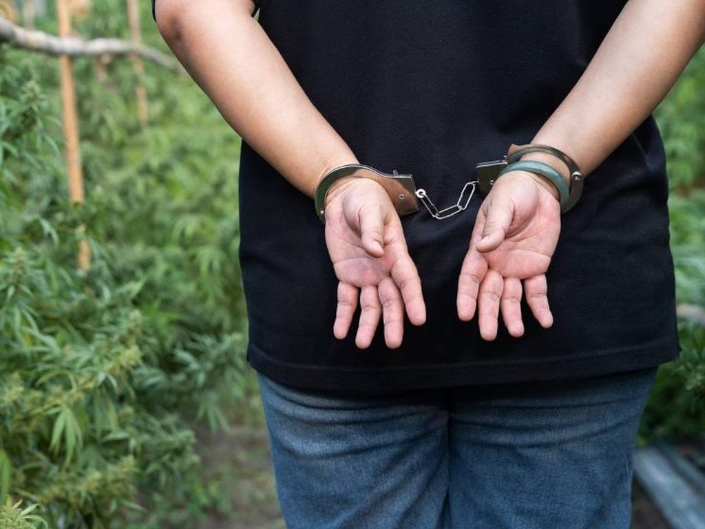 Rekordna zapljena droge u Sj. Makedoniji: Pronađeno čak 40 tona?