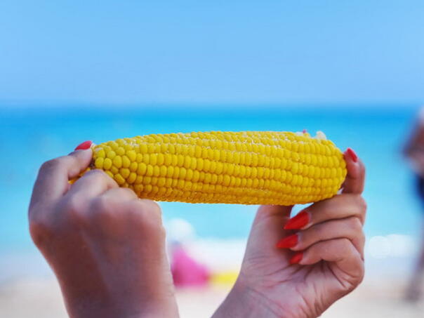 Rekordne cijene na moru: Klip kukuruza 7 eura