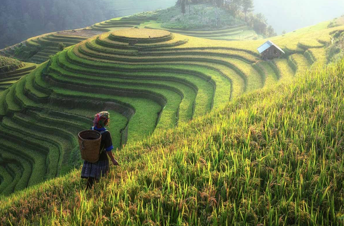Rekordne temperature u više kineskih gradova, proljeće poranilo 20 dana