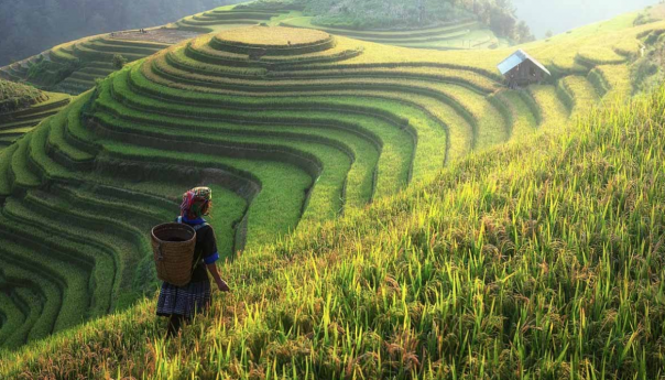 Rekordne temperature u više kineskih gradova, proljeće poranilo 20 dana