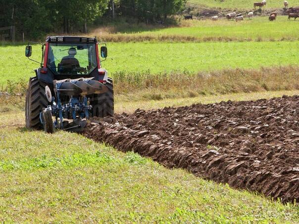 Rekordnih 190 miliona KM poticaja poljoprivredi u Federaciji BiH