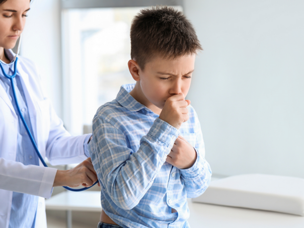 Respiratorni sistem primarna meta djelovanja zagađujućih materija zraka zatvorenog prostora