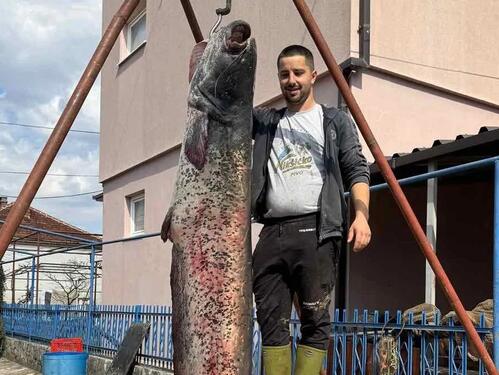 Ribar u BiH ulovio soma od 2,5 metra: Nisam nikad vidio ovoliku ribu