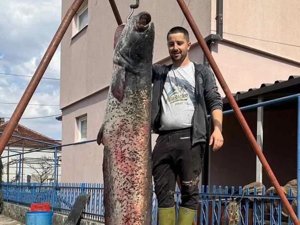 Ribar u BiH ulovio soma od 2,5 metra: Nisam nikad vidio ovoliku ribu