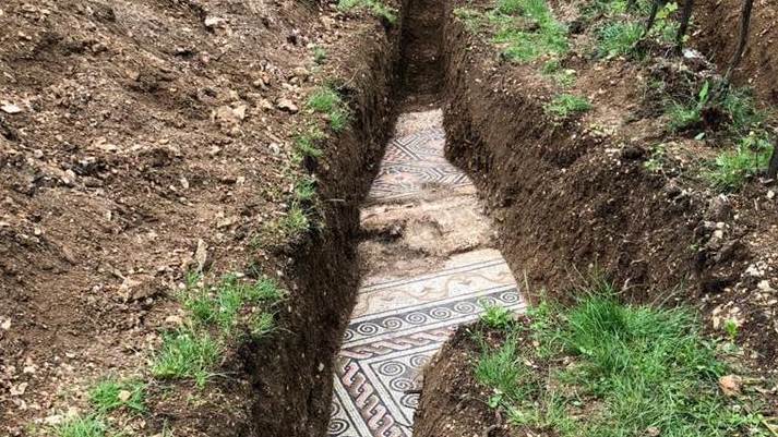 Rimski mozaik otkriven ispod vinograda u blizini Verone