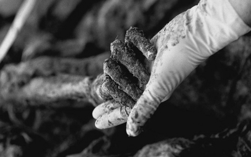 Rodno mjesto genocida su beogradski nacionalistički saloni