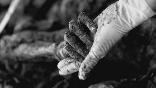 Rodno mjesto genocida su beogradski nacionalistički saloni