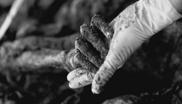 Rodno mjesto genocida su beogradski nacionalistički saloni