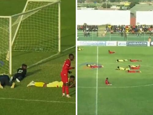 Roj pčela prekinuo utakmicu: Svi polijegali po terenu u strahu