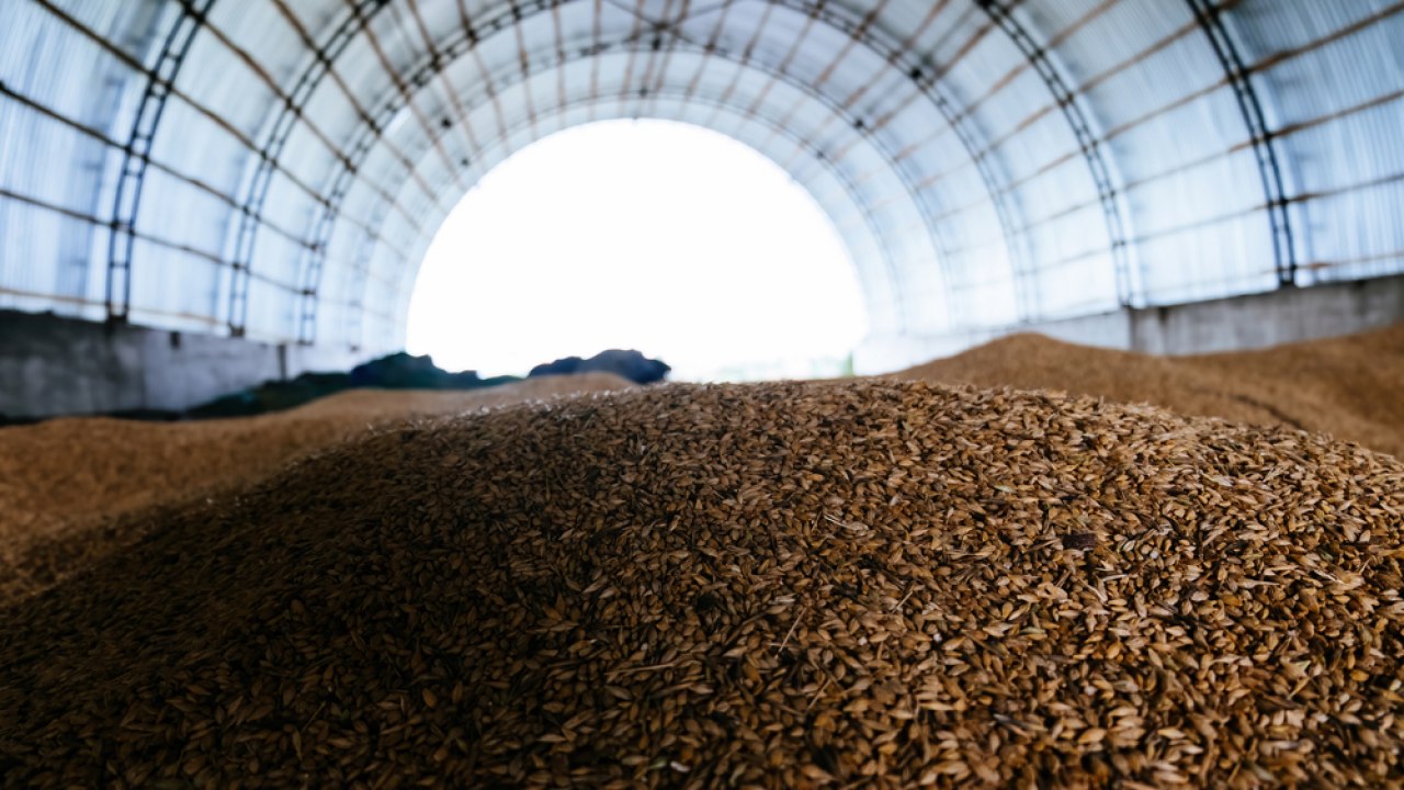 Rusija i UN dogovorili produženje sporazuma o žitu za 60 dana