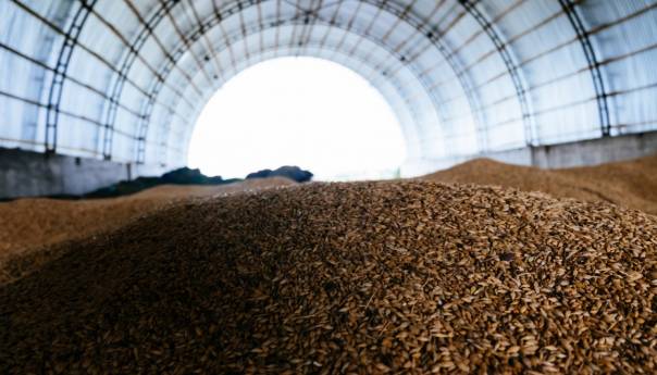 Rusija i UN dogovorili produženje sporazuma o žitu za 60 dana