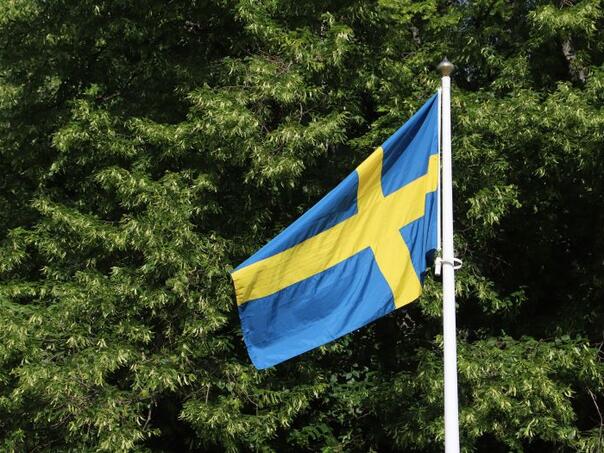 Rusija, Kina i Iran najveće su prijetnje Švedskoj