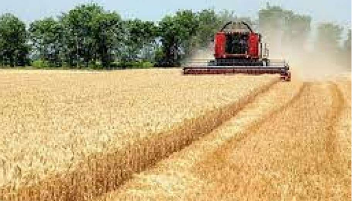 Rusija nije ponudila Ujedinjenim nacijama nikakvo besplatno žito