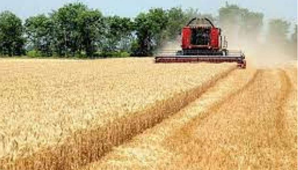 Rusija nije ponudila Ujedinjenim nacijama nikakvo besplatno žito