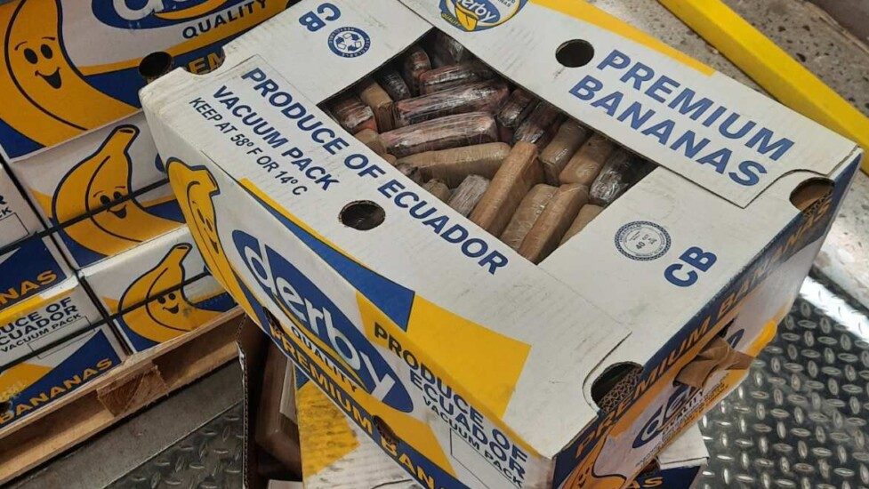 Rusija: Pronađeno 60 kilograma kokaina u pošiljci banana