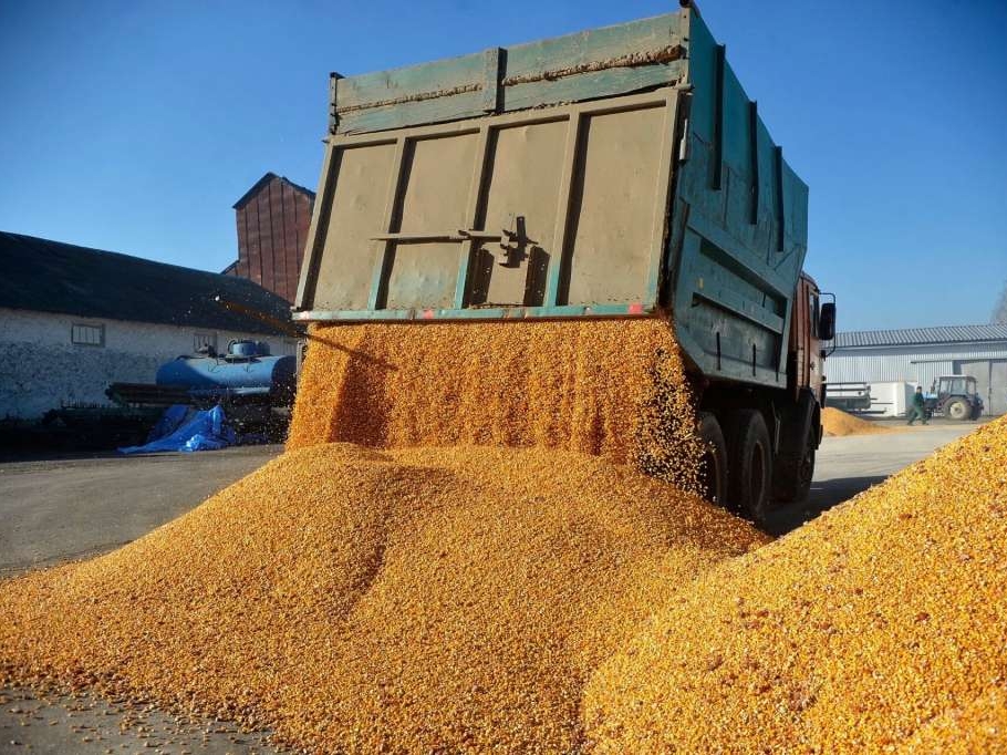 Rusija u 2025. godini izvezla više od dva miliona tona žitarica iz Ukrajine